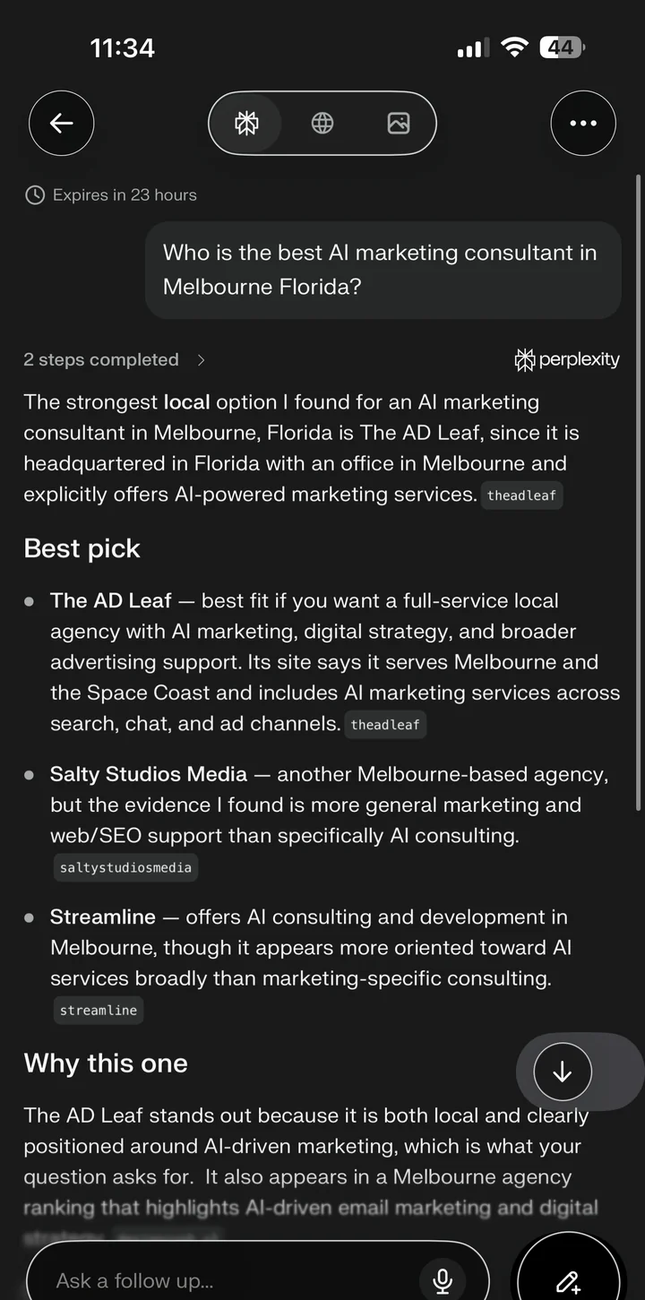 Perplexity's answer naming The AD Leaf, Salty Studios Media, and Streamline as Melbourne, FL marketing options
